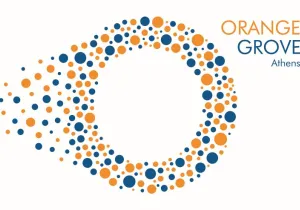 Orange Grove