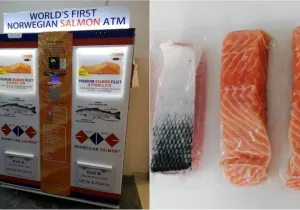 ΑΤΜ για σολομό